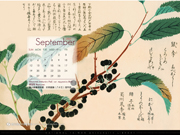 09