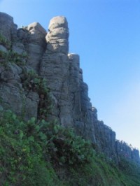 澎湖玄武岩自然保留區分布於澎湖縣群島東北海域上,包含小白沙嶼、雞善嶼、錠鉤嶼等三處玄武岩島嶼。係由海底裂隙湧出地表的熔岩快速冷卻形成,氣勢磅礡的柱狀玄武岩渾然天成,具傾斜狀、放射狀、倒臥狀等奇特地景,全球少見。本區海洋資源豐富,夏季已成為燕鷗的繁殖天堂,保育類珍貴的稀有鳥種紅燕鷗、小燕鷗、百眉燕鷗、蒼燕鷗常至此區棲息繁殖,數量繁多,蔚為奇觀。2002年更發現瀕臨絕種的海洋野生動物—綠蠵龜上岸產卵,極具研究與保育價值。